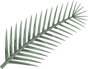 Obraz premium Beige, green, white tropical leaves in flat style, on transparent, png. Illustration. Green jungle,foliage. Floral beach