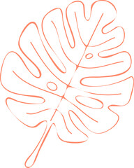 monstera leaf flat outline, on transparent, png. for botanical emblems, cosmetics, clothing printing, stickers, banner