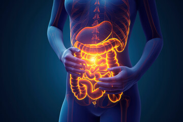 Digestive issues encompass a range of symptoms and conditions that affect the gastrointestinal (GI) tract, which includes the stomach, small intestine, large intestine - obrazy, fototapety, plakaty