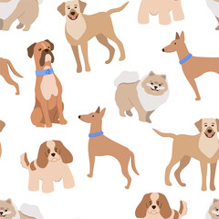 Vector seamless pattern with cute dog different breeds isolated on white background