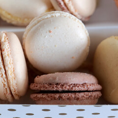 boîte de macarons