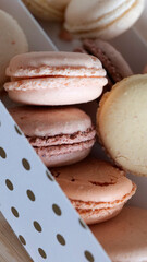 petits macarons