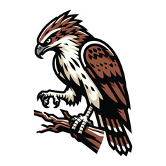 Fototapeta premium Wild animal bird of prey, raptor bird vector design illustration, hawk eagle falcon logo flat design template isolated on white background