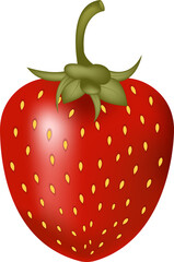 Strawberry  doodle icon. raw strawberry for print, web, mobile and infographics in realistic style, on transparent, png