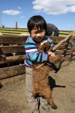 A boy and a cashmere goat in the tranquil steppe of Tuv province, Mongolia. The nomad children and their goats-sheep have a close connection in the vast steppe. The children love their animals. 