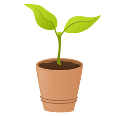 Pot with plant sprout. Seedling gardening plant. Seeds sprout in ground. Sprout, plant, tree growing agriculture icons. Vector hand draw flat illustration isolated on white background.