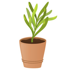 Pot with plant sprout. Seedling gardening plant. Seeds sprout in ground. Sprout, plant, tree growing agriculture icons. Vector hand draw flat illustration isolated on white background.