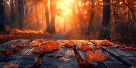 Autumnal Forest Path with Golden Light Filtering Through Trees on a Wooden Plank Covered in Orange Leaves