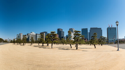 Tokyo Cityscape in Background and Park in Foreground and Skyscrapers with Clear Blue Sky. Japan....