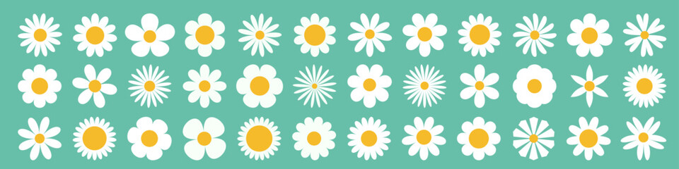 Daisy Camomile super big set. White chamomile icon. Growing concept. Cute round flower plant collection. Love card. 36 sign symbol shape. Flat design. Isolated. Green background.