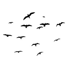 Silhouette of birds. Vector flock of birds in the sky. isolated background.