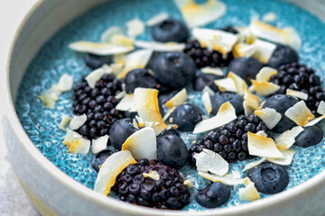 Chia pudding, plant based breakfast, healthy vegetarian food. Vegan superfood with blueberry, chia. Mixed vegetarian for restaurant, menu, advert or package, selective focus
