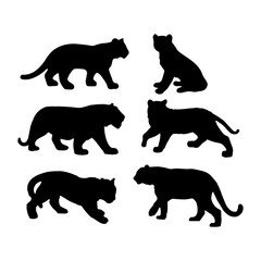 Tiger silhouette 2022 - vector isolated background. Wild cats .