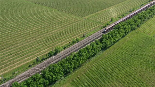 Two high-speed trains of gray color moving towards the aerial view. The movement of trains between the vineyards top view. 