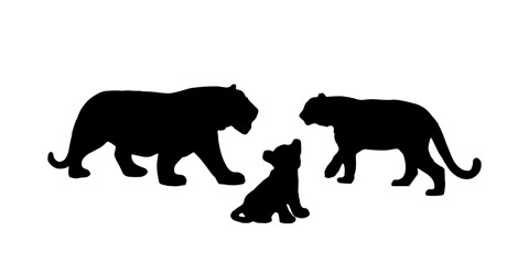 Tiger silhouette 2022 - vector isolated background. Wild cats .