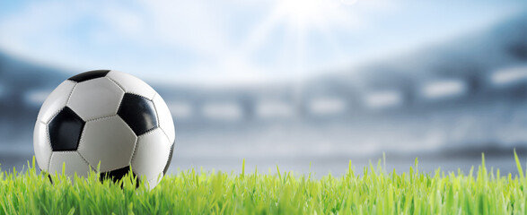 Soccer ball on the grass