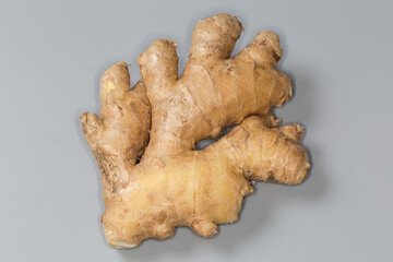 Fresh ginger root on a gray background