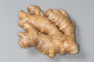 Fresh ginger root on a gray background