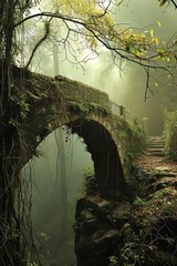 Old stone bridge in the misty forest, closeup 