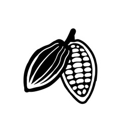 Cocoa beans sketch. Vector icon on white