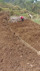 photo of hoeing dry soil for agricultural background