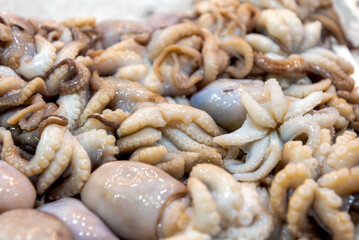 fresh octopus at the fish market