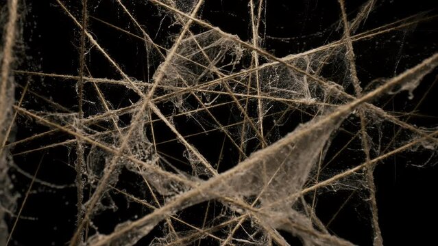 Macro dolly shot camera flies through sisal ropes covered with spider web, threads plexus lighted on black background, twine lines in dark, abstract chaotic interweaving, background for titles or logo