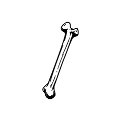 Archeology and history icon