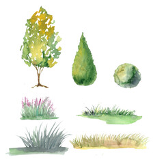 set illustration for landscape design hand drawn in watercolors, trees, grass. Plant motifs for the garden.