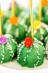 Delicious cactus cake pops for Cinco de Mayo celebration
