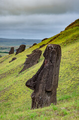 moais in the quarry of Rano Raraku, in Rapa Nui, Easter Island