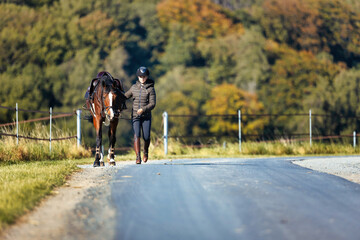 Girl rider goes riding with her horse ready to ride.