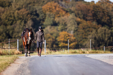 Fototapeta premium Girl rider goes riding with her horse ready to ride.
