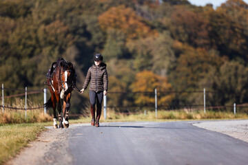 Obraz premium Girl rider goes riding with her horse ready to ride.