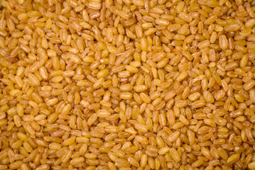 Bulgur wheat grains are yellow in color when raw