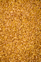Bulgur wheat grains are yellow in color when raw