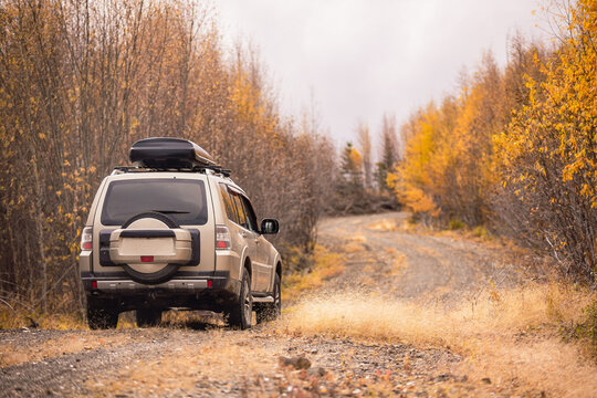 SUV on scenic autumn road in the forest