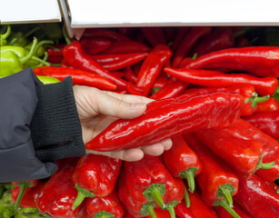 choosing peppers at the grocery store