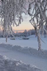 Snowdrifts, path, frozen river, destroyed bridge and trees in the distance. Branches with snow in the blur in the foreground. Day during the polar night.