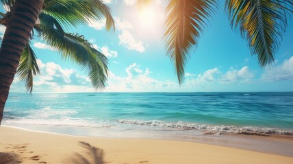  tropical beach and palm tree summer nature background
