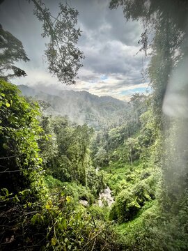 Rising fog over the river valley in African mountain rainforest (Nyungwe, Burundi, Rwanda)