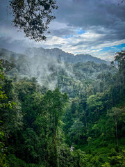 clouds and rising mist over a river valley in the Nyungwe mountains indigenous rainforests (Congo-Nile trail) © Nicole