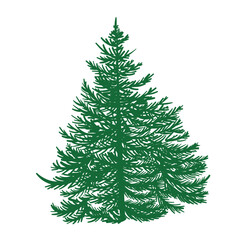Green silhouette of pine tree. Forest isolated on white background. coniferous evergreen . Christmas tree, fir-tree, pine, pine-tree, Scotch fir, cedar. For design