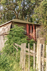 Naklejka premium Schuppen im Sommer