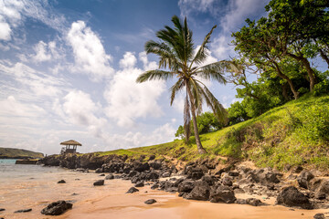 moais on Anakena beach, Rapa Nui, on Easter Island