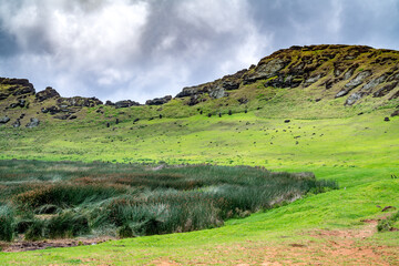 Fototapeta na wymiar landscape of Rapa Nui, Easter Island