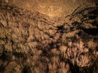 Aerial view of autumn landscape countryside