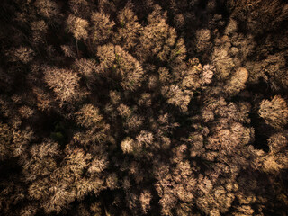 Aerial view of autumn landscape countryside