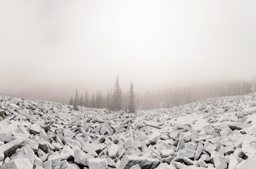 Winter pin tree forest with big stones covered snow in winter. Beautiful mountain landscape.