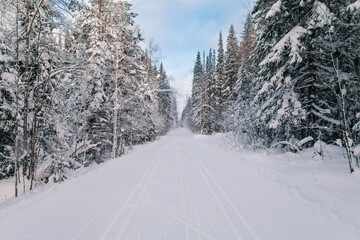 Narrow snowy forest road on a cloudy winter day.